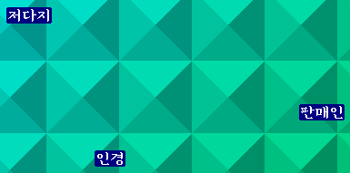 사용자 삽입 이미지