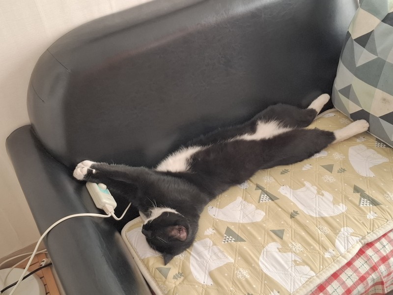 사용자 삽입 이미지